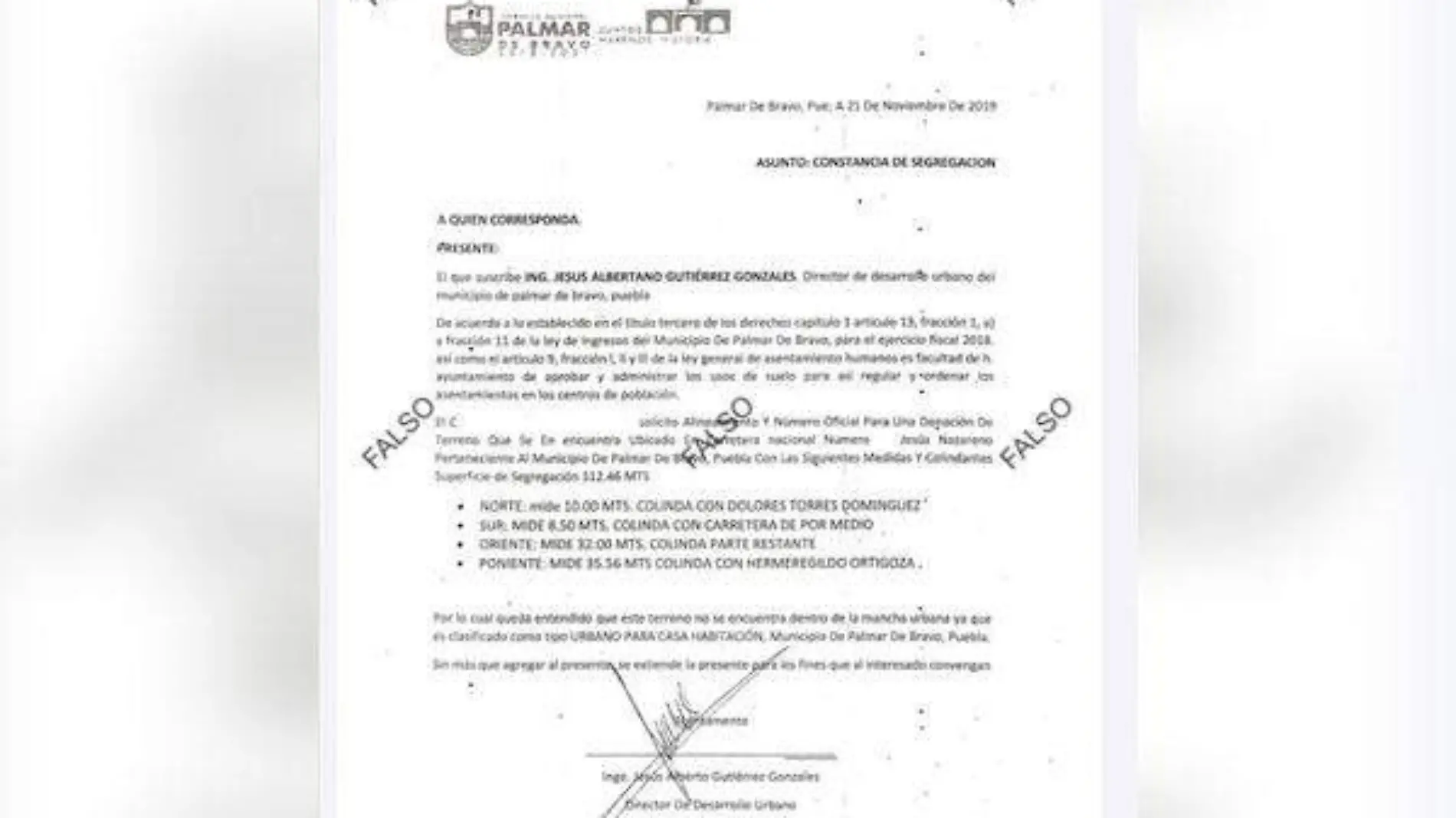 DOCUMENTO FALSO PALMAR